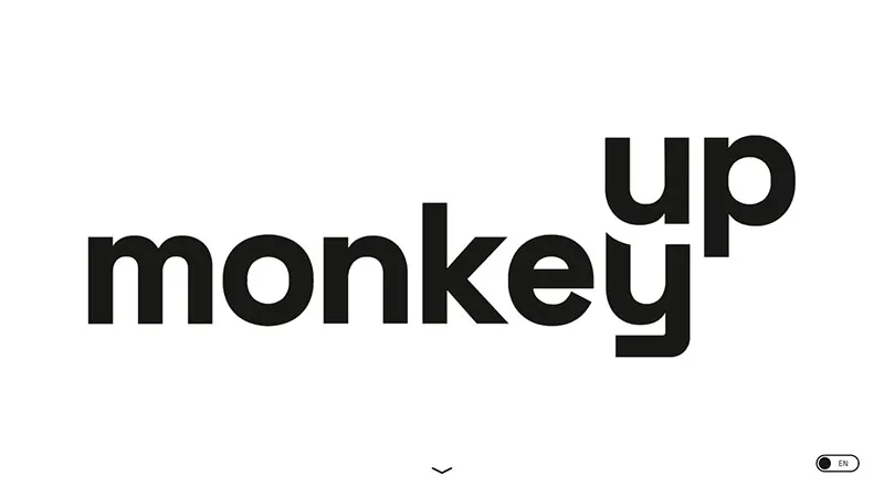 portfolio monkeyup